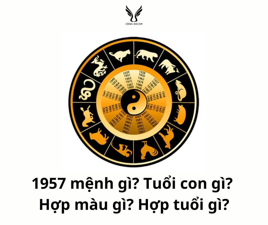 1957 mệnh gì? Tuổi con gì? Hợp màu gì? Hợp tuổi gì?