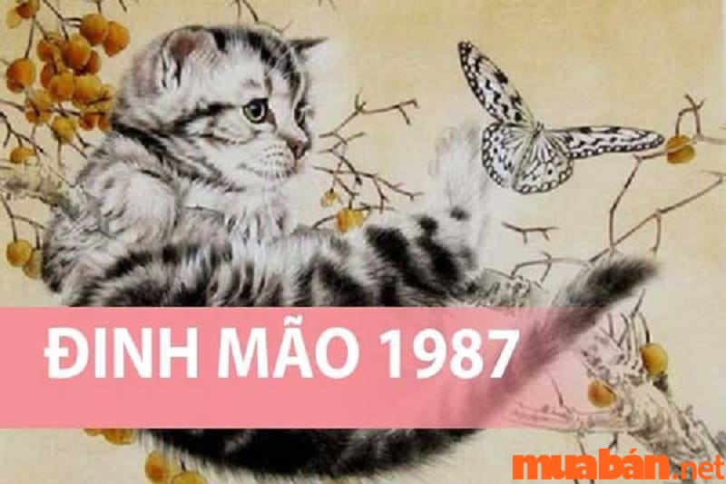 Sinh năm 1987 mệnh gì?