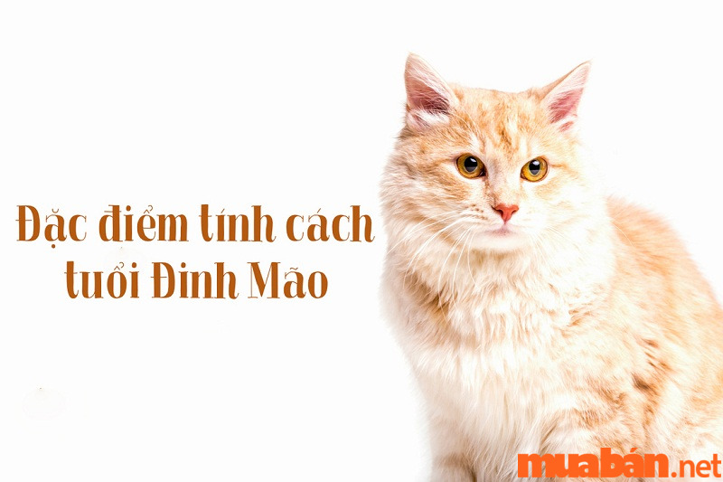 Sinh năm 1987 mệnh gì, tính cách như nào?