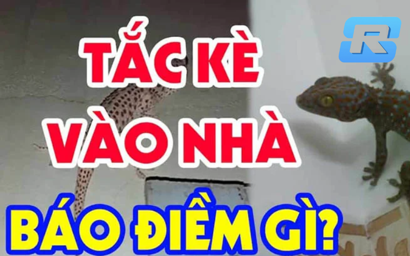 Tắc kè kêu 4 tiếng đánh con gì?