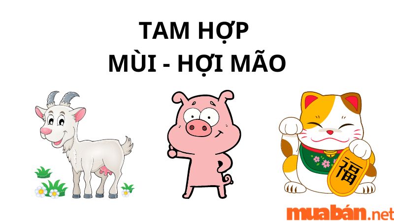 tam hợp tuổi mùi