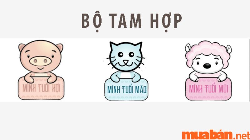 tam hợp tuổi mùi