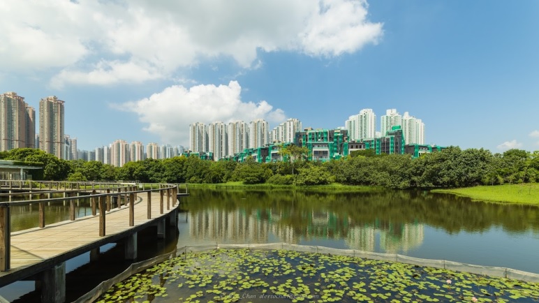 Hong Kong Wet Land Park