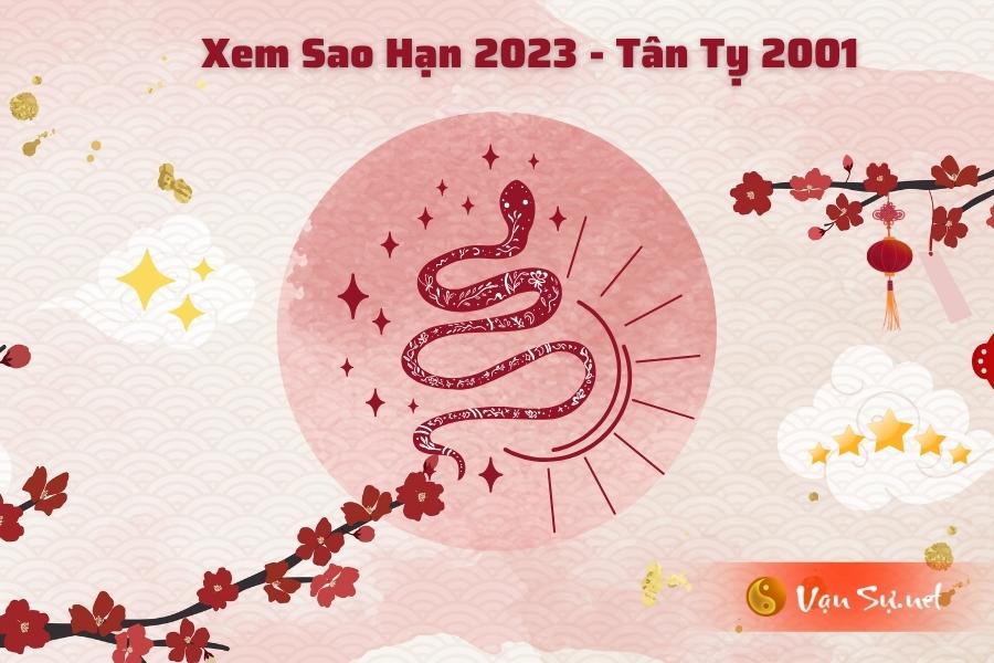 Sao chiếu mệnh nữ tuổi Tỵ 2001 năm Quý Mão