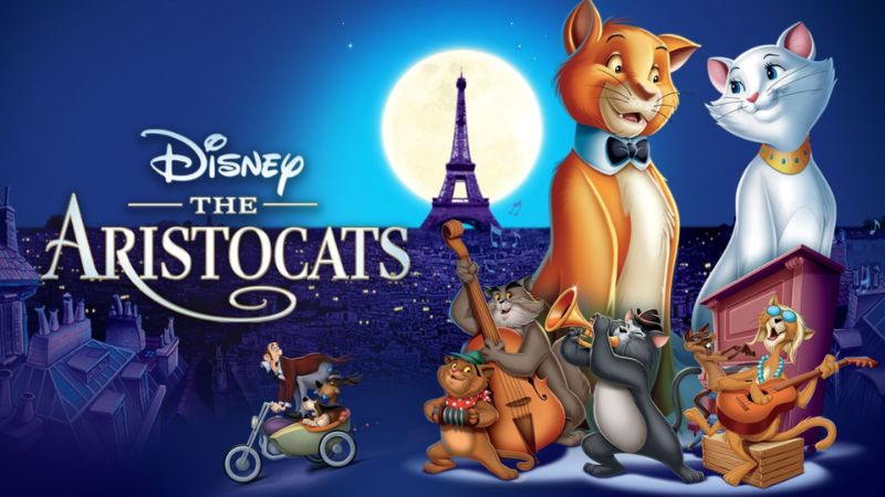 Đặt tên tiếng Anh cho những chú mèo theo tên nhân vật hoạt hình Disney. (Ảnh: Sưu tầm Internet)