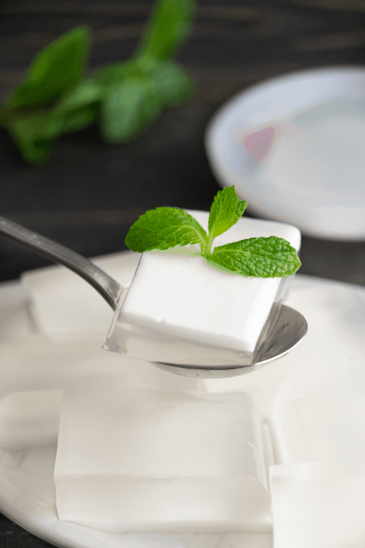 A Thạch Dừa piece in a spoon with mint on top.