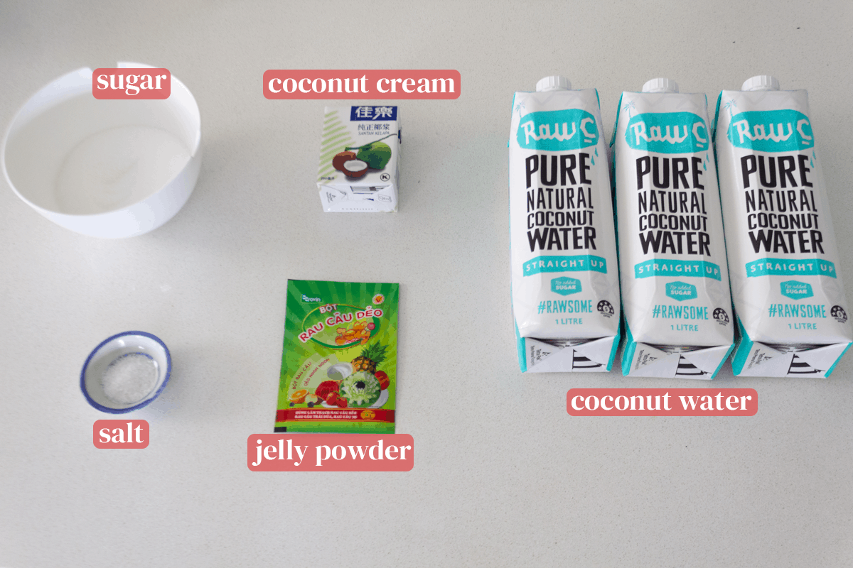 Bottles of coconut water along with a container of coconut cream, a packet of jelly powder, a dish of salt and a bowl of sugar.