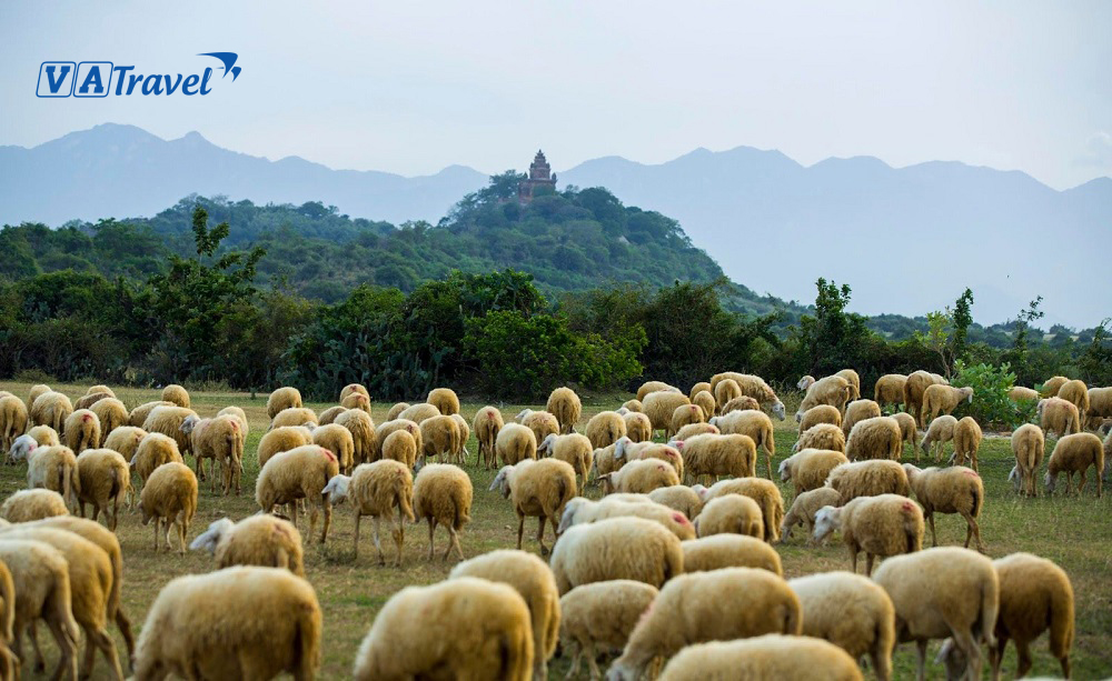 Chơi gì ở Thành phố Vinh? “Bản đồ du lịch thu nhỏ” ngay trong bàn tay bạn