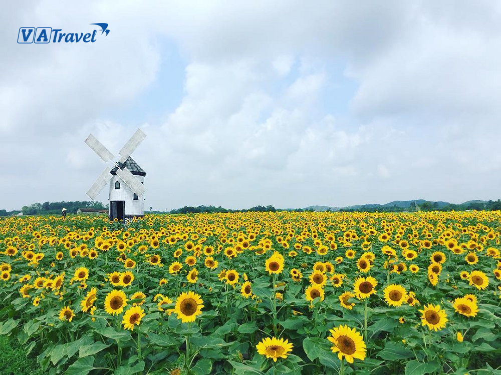 Chơi gì ở Thành phố Vinh? “Bản đồ du lịch thu nhỏ” ngay trong bàn tay bạn