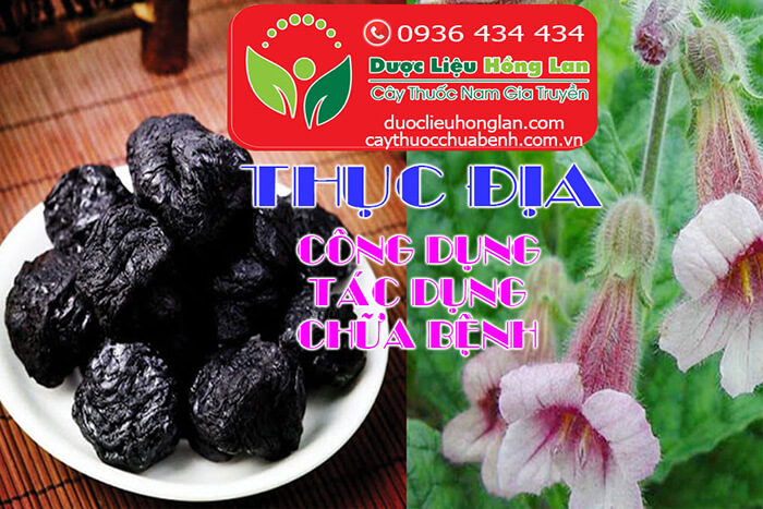 CONG-DUNG-TAC-DUNG-CHUA-BENH-CUA-THUC-DIA-CTY-DUOC-LIEU-HONG-LAN