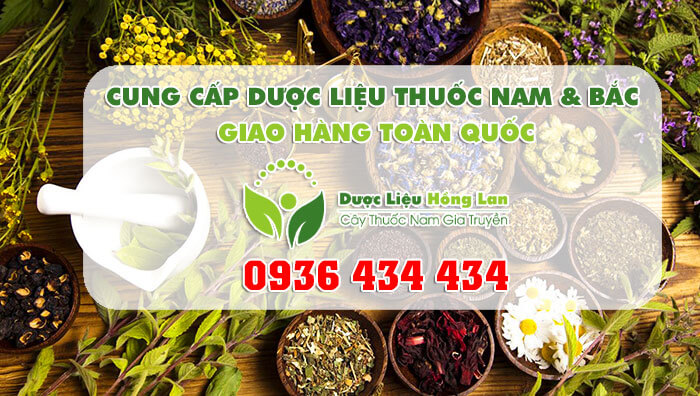 Dược Liệu Hồng Lan