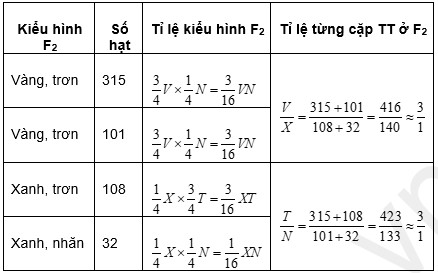 Sinh học 9 Bài 4: Lai hai cặp tính trạng