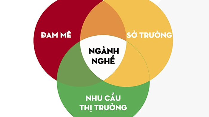 Tiêu chí chọn ngành thuộc khối D phù hợp với năng lực