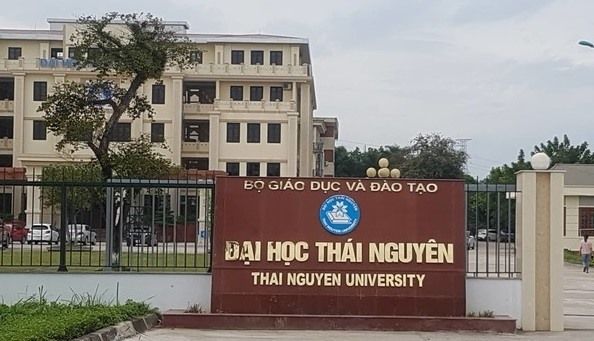 Top 20 trường đại học hàng đầu Việt Nam theo đánh giá từ chuyên gia!