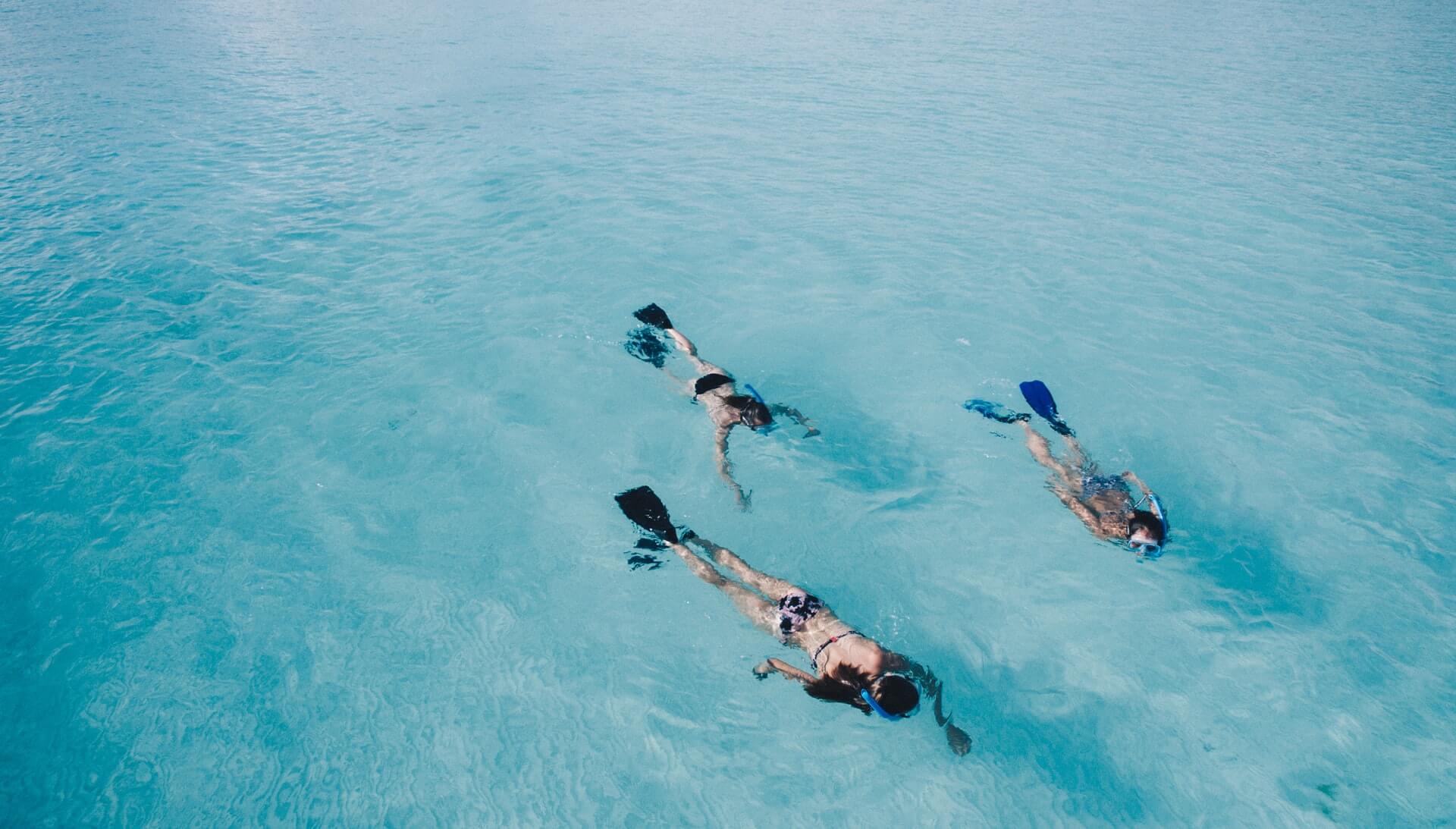 Snorkelling in Maldives