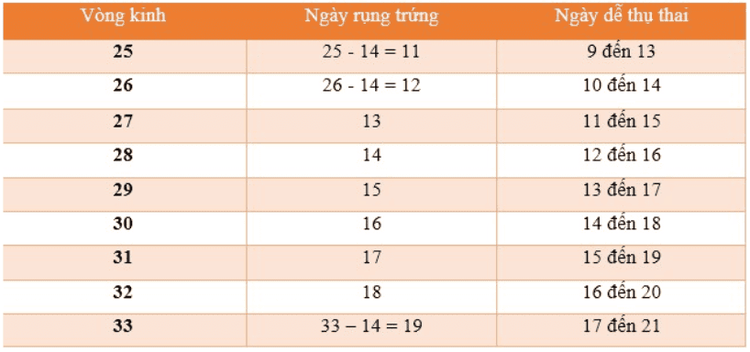 Chu kỳ kinh nguyệt và ngày rụng trứng có mối quan hệ mật thiết với nhau