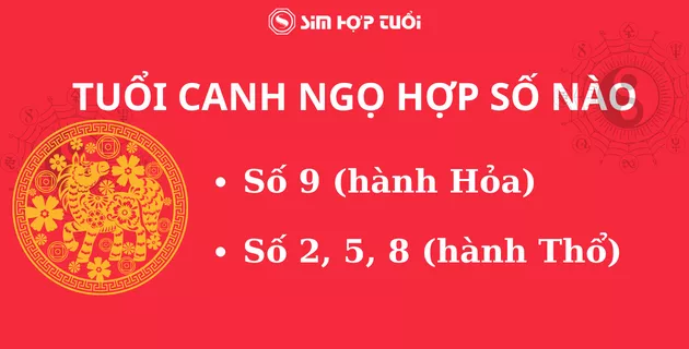 1990 hợp số nào