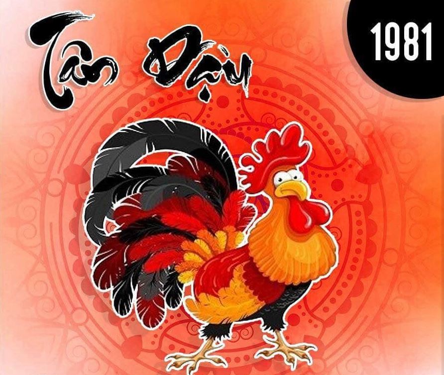 Người sinh năm 1981 thuộc năm Tân Dậu