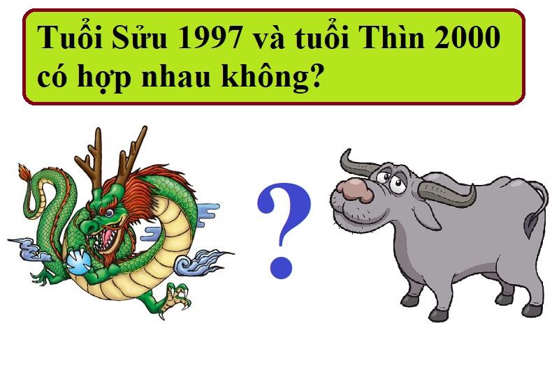 Tuổi Thìn có hợp với Tuổi Sửu không? Luận Giải Mới Nhất 4