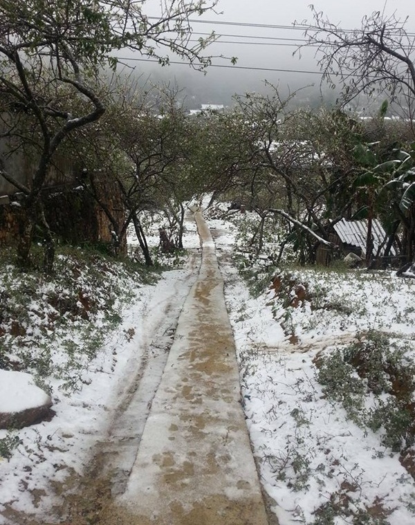 tuyet roi o moc chau son la