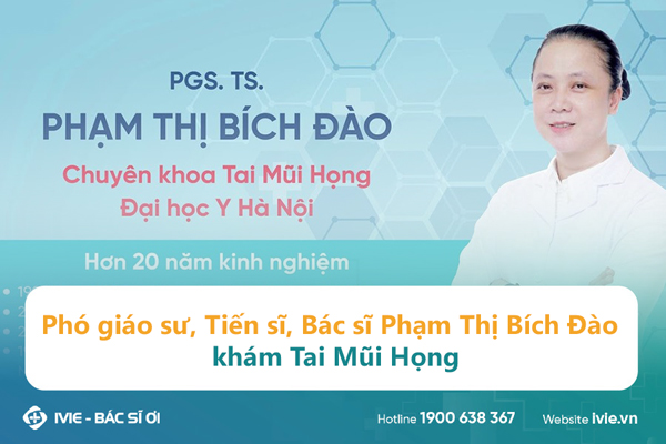 PGS. TS Phạm Thị Bích Đào - Bệnh viện ĐH Y Hà Nội 