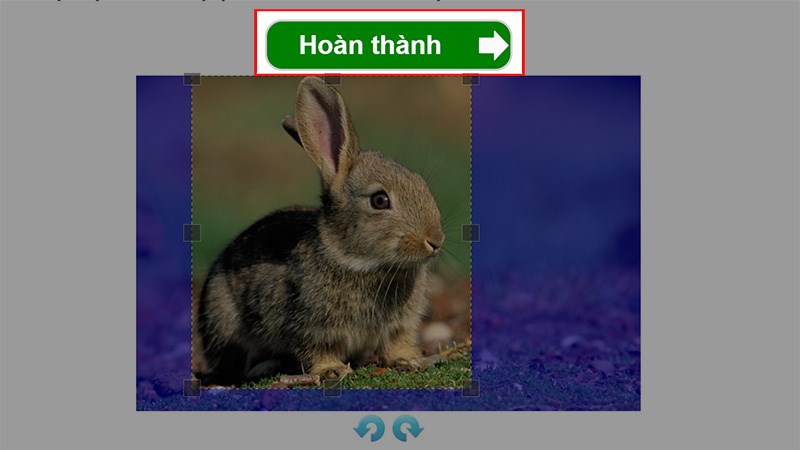 Sau khi đã chọn xong phần ảnh muốn cắt, chọn Hoàn thành để cắt ảnh
