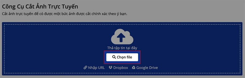 Truy cập trang web img2go.com > Nhấn Chọn File để tải ảnh lên