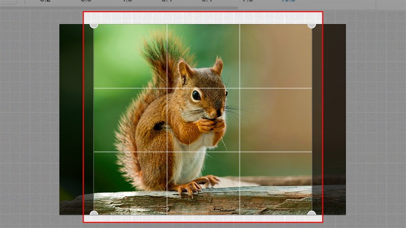 Kéo thả các chấm tròn trên khung ảnh và di chuyển khung để chọn phần ảnh muốn cắt