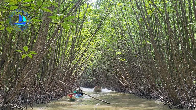 du lịch sông nước miền Tây