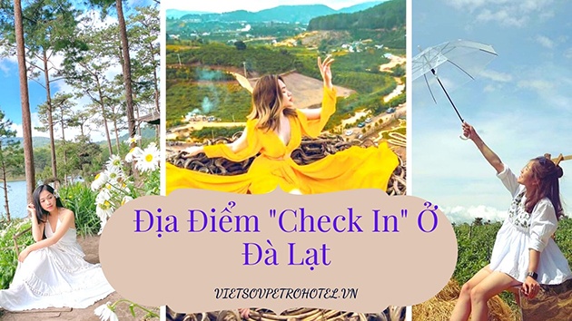 Địa điểm check in ở Đà Lạt