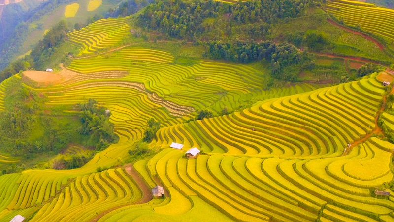 du lịch Yên Bái