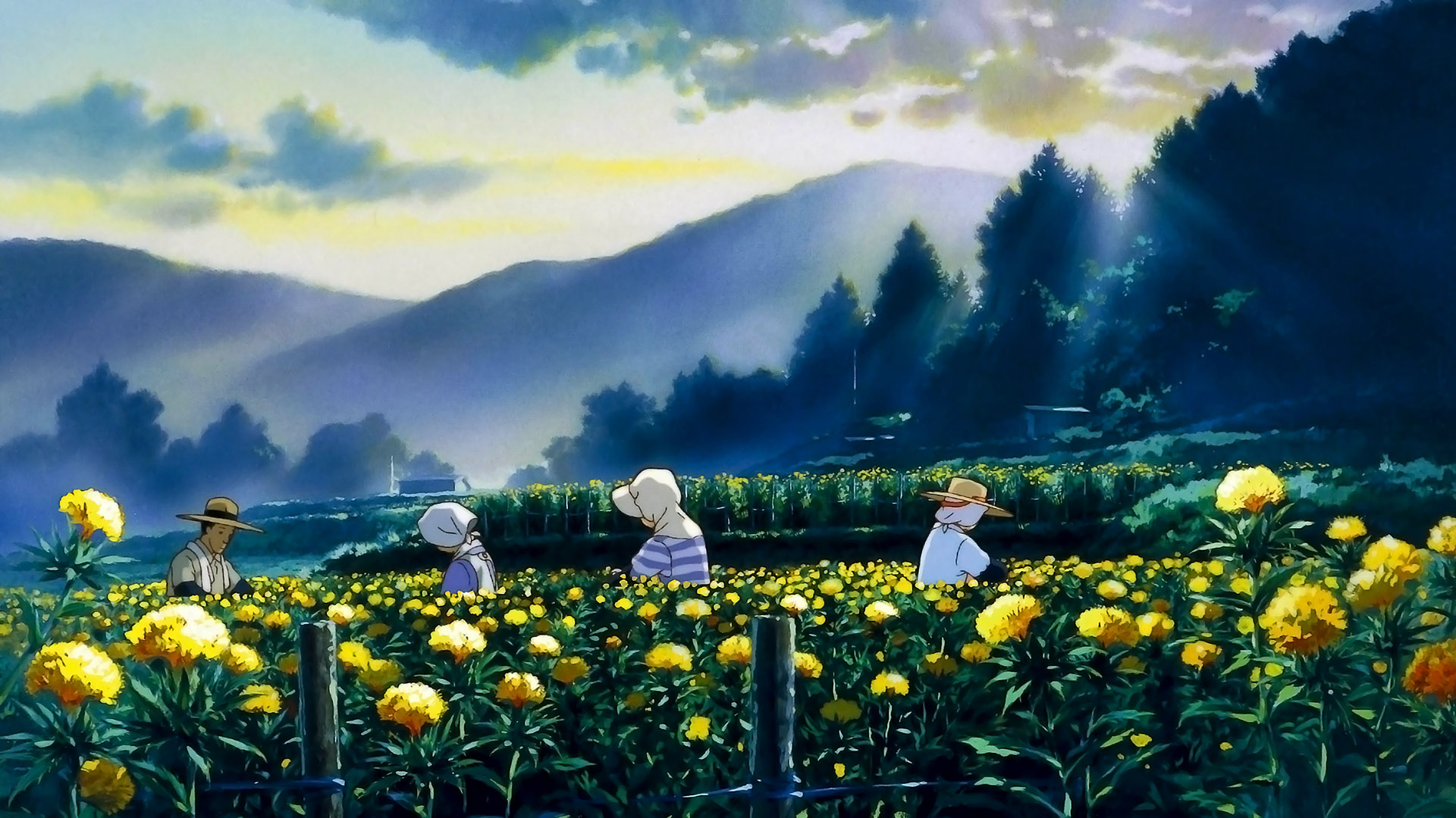 99+ Hình nền anime chill thư giãn - hình nền Ghibli 4K