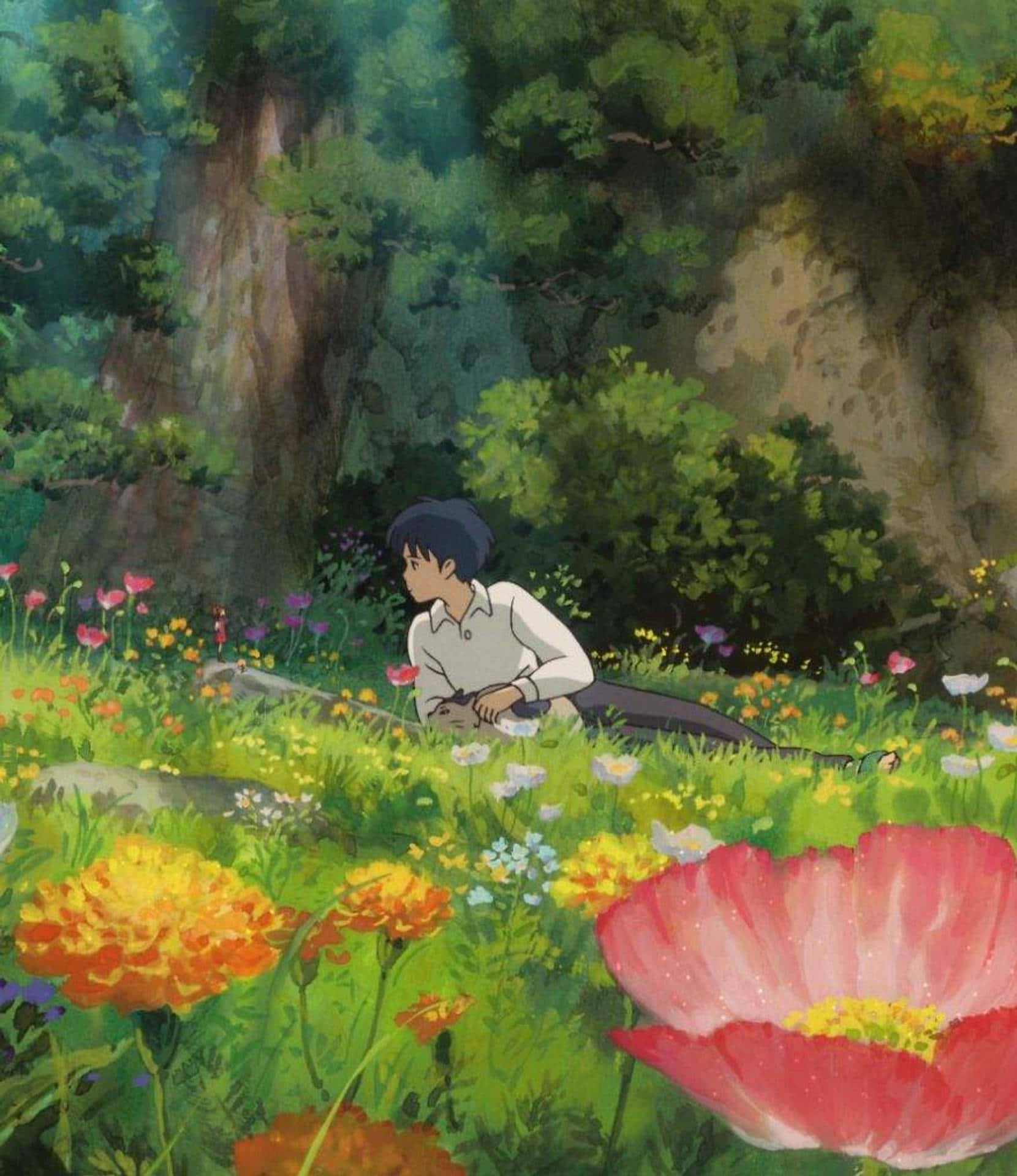 99+ Hình nền anime chill thư giãn - hình nền Ghibli 4K