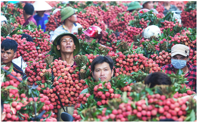 Du lịch Bắc Giang