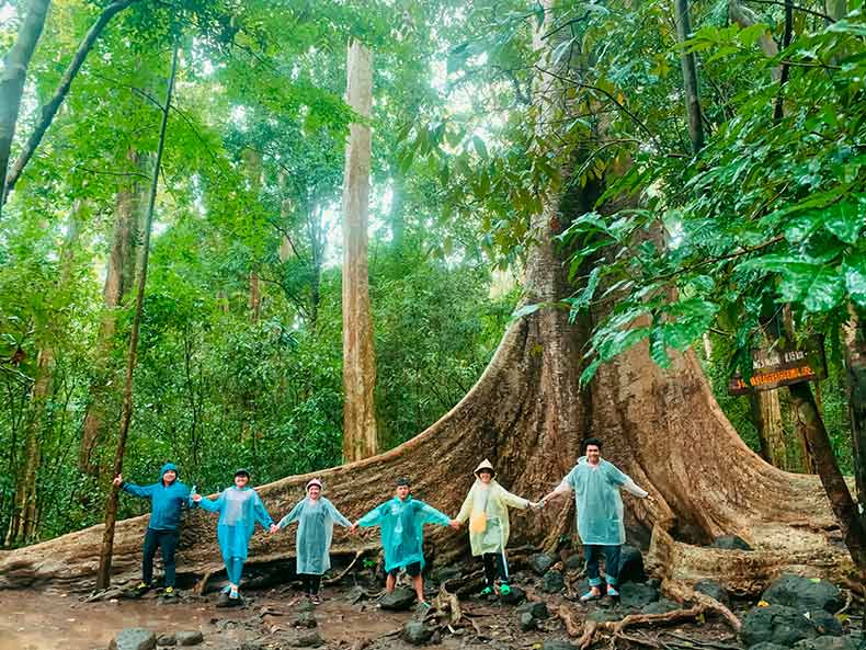 Trà Vinh có gì chơi Khu du lịch sinh thái Rừng Đước