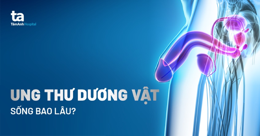 ung thư dương vật sống được bao lâu