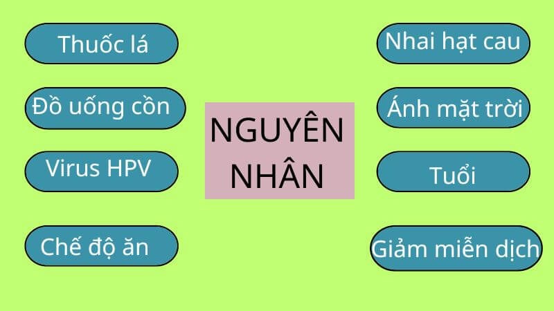 Một số nguyên nhân gây ung thư khoang miệng