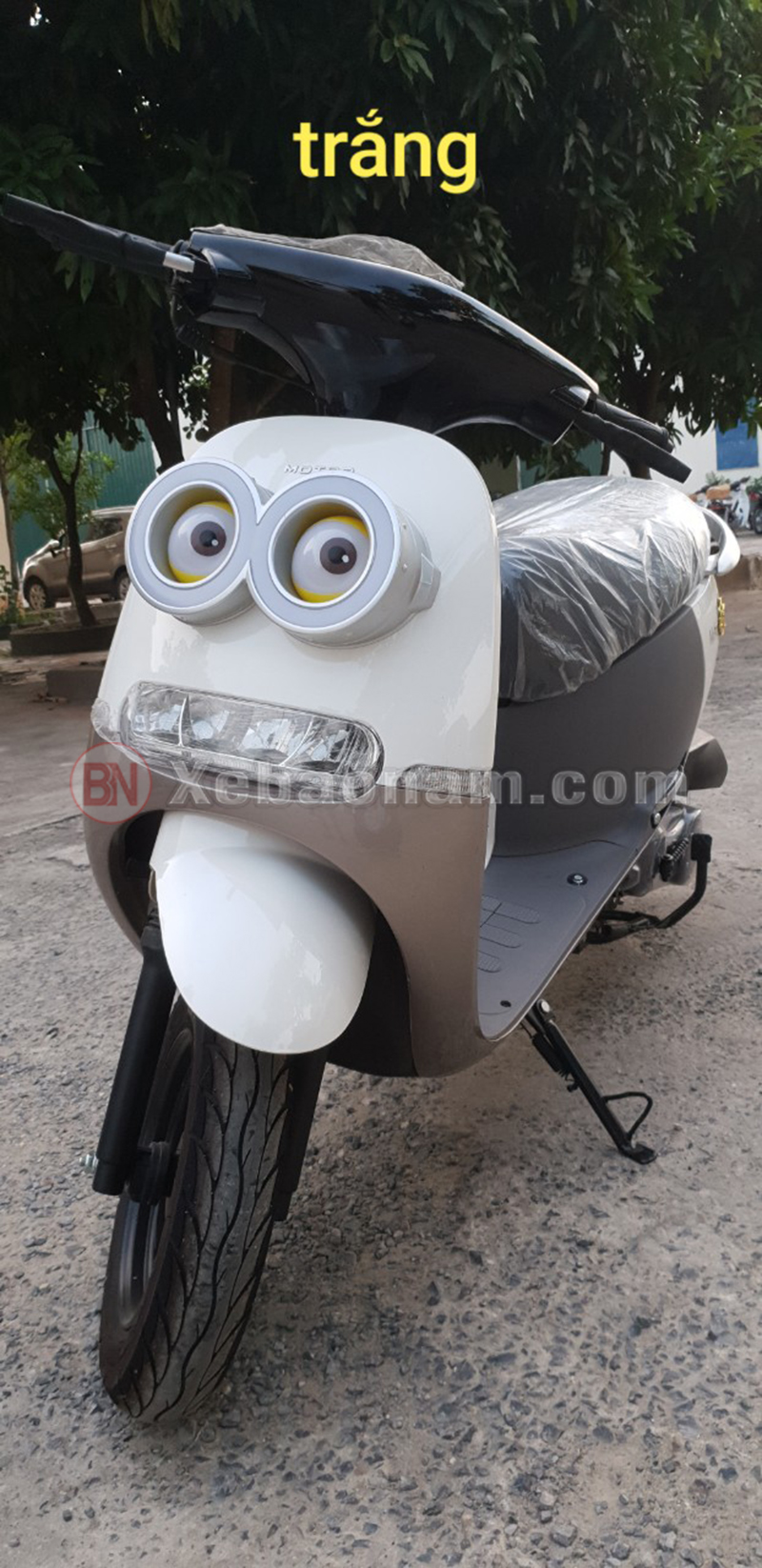 Xe ga 50cc gogo namotor màu trắng