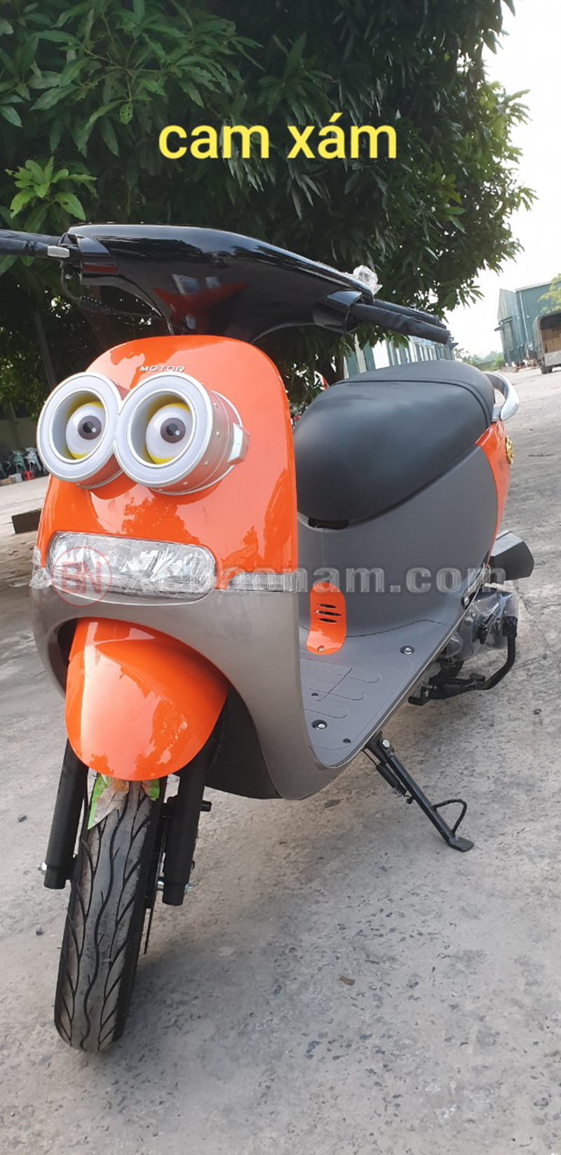 Xe ga 50cc gogo namotor cam xám