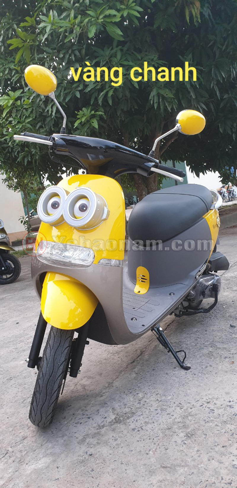 Xe ga 50cc gogo namotor vàng chanh