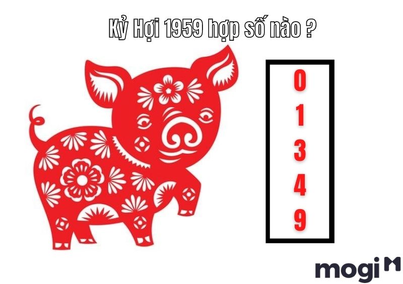 Sinh năm 1959 tuổi gì? - Kỷ Hợi hợp số nào?