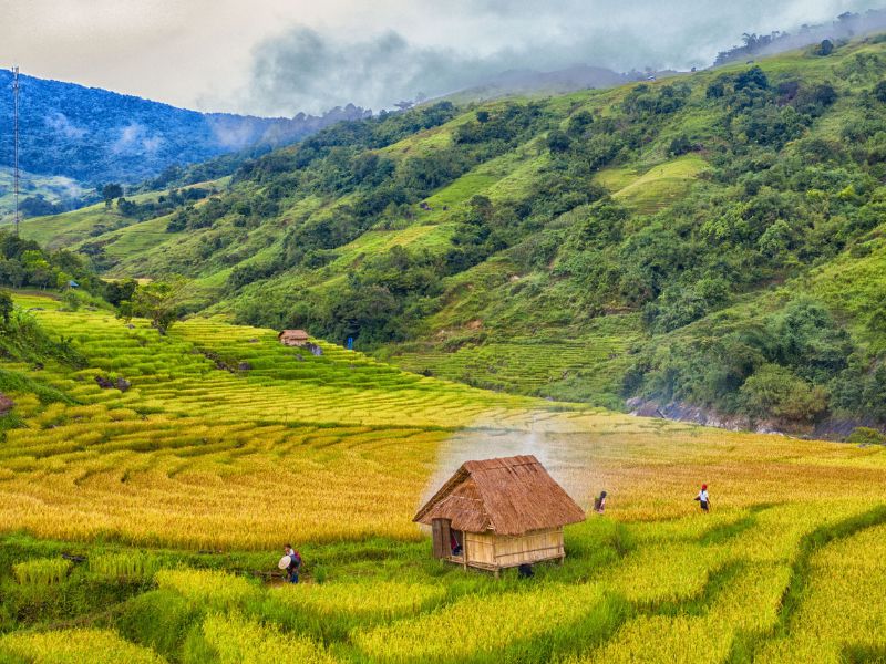 Vẻ đẹp thơ mộng, yên bình trên quãng đường chinh phục đỉnh Ngọc Linh.