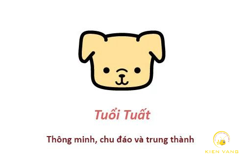 29 Tuổi Là Tuổi Con Gì