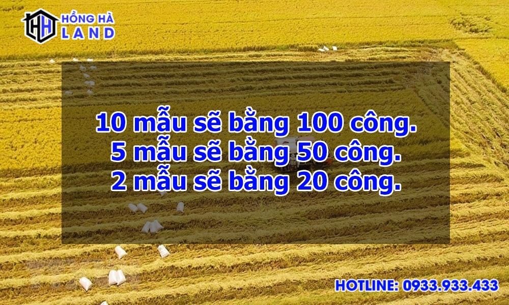 1 mẫu bằng bao nhiêu công