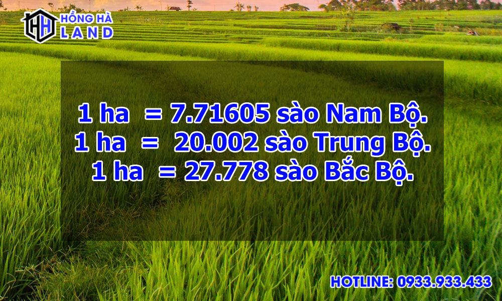 1 ha bằng bao nhieu sao