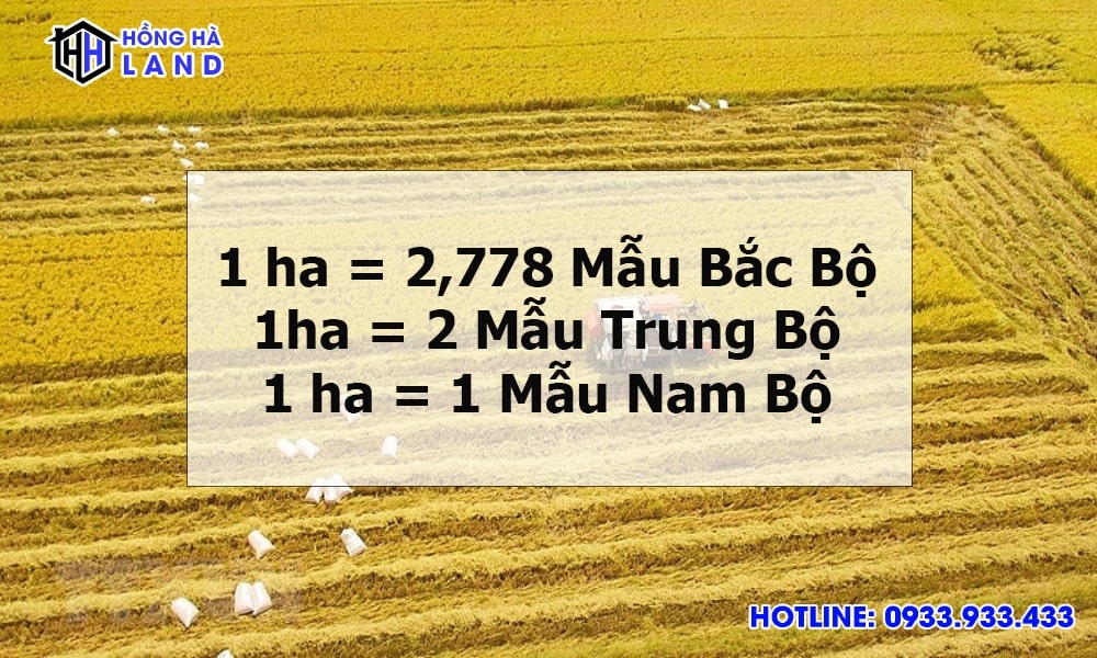 1 ha bằng bao nhiêu mẫu