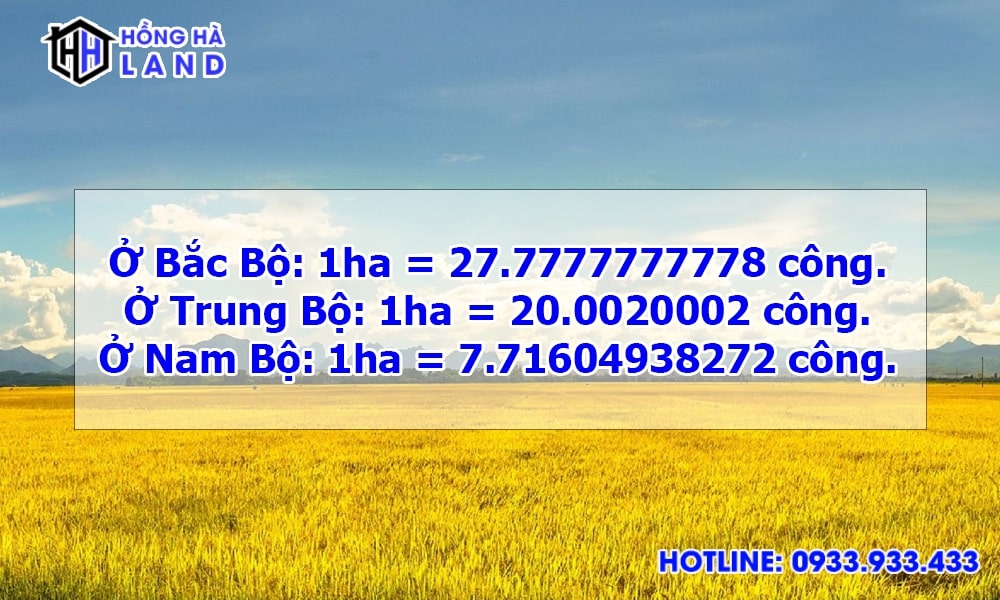 1 ha bằng bao nhiêu công