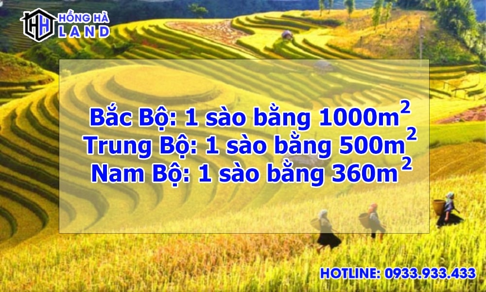 1 sào bao nhiêu m2