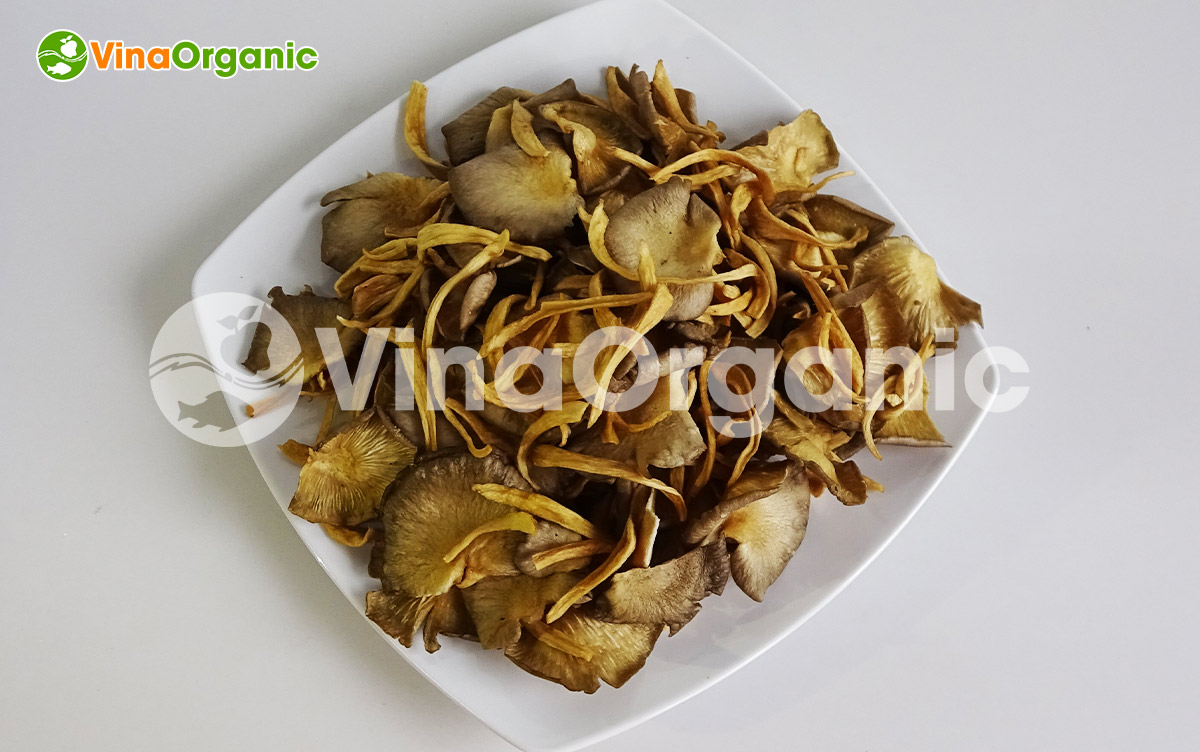 VinaOrganic chuyển giao công nghệ và máy thiết bị chiên chân không, sản xuất snack nấm bào ngư. Hotline 0938299798 - 0975299798.