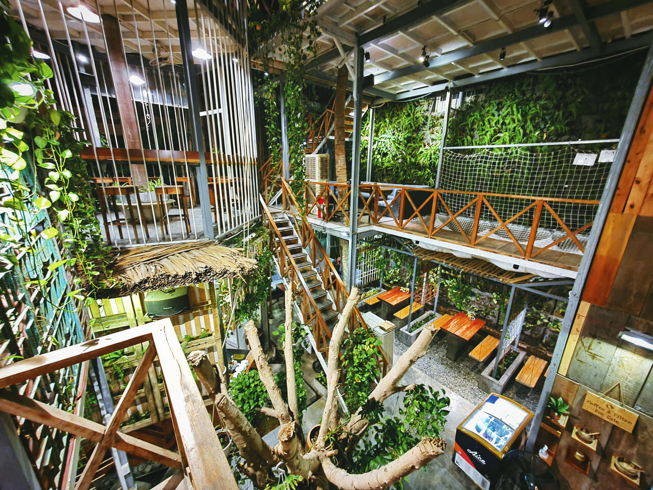 decor độc đáo của rainforest coffee